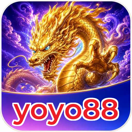yoyo88 Technical Info