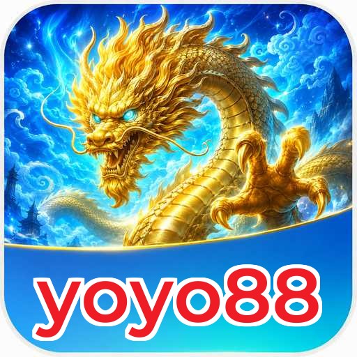 yoyo88 Technical Info