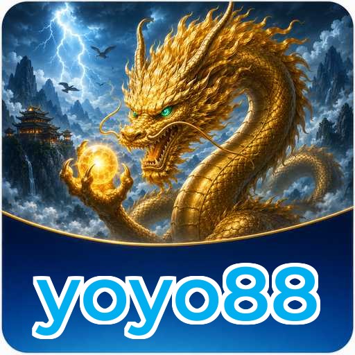 yoyo88 Technical Info